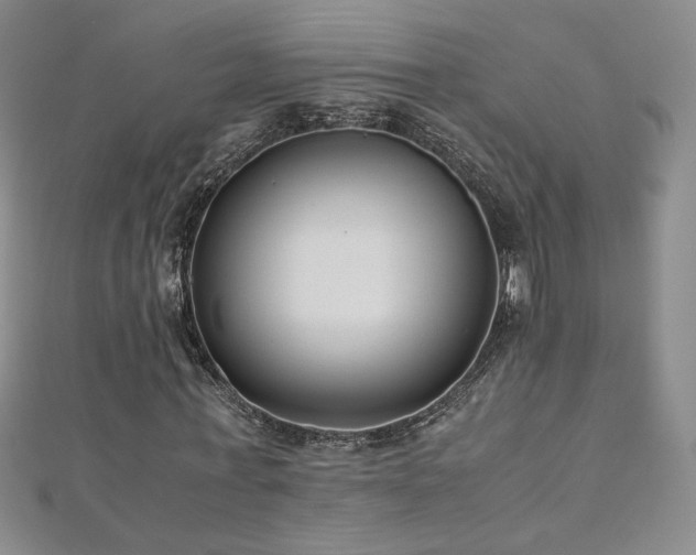 X0000110710771200906121354