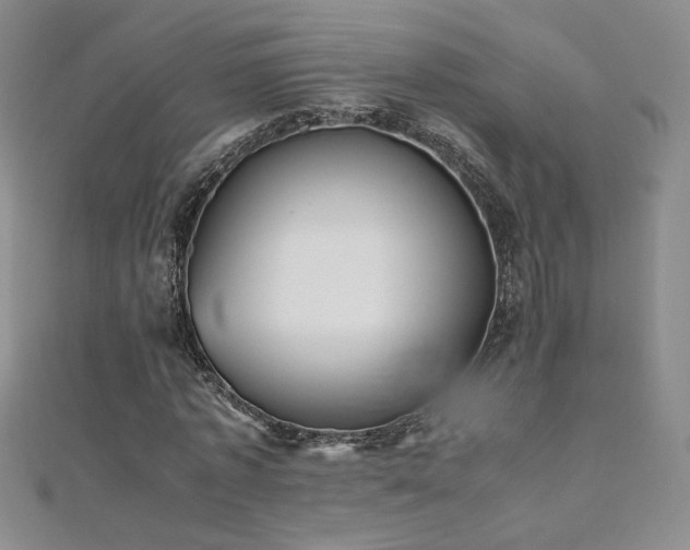X0000110710773200906121354