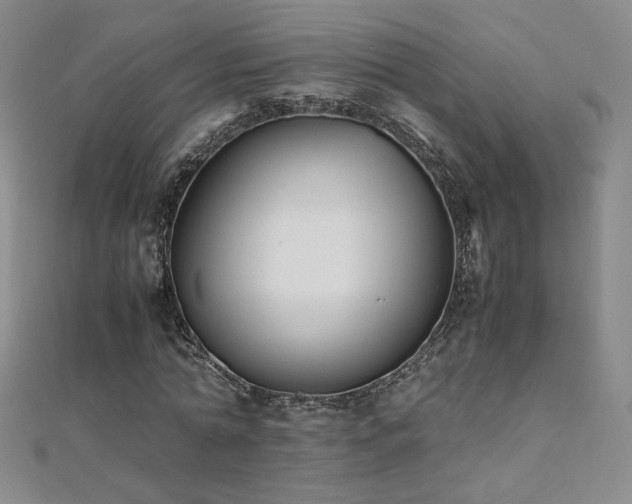 X0000110710774200906121354