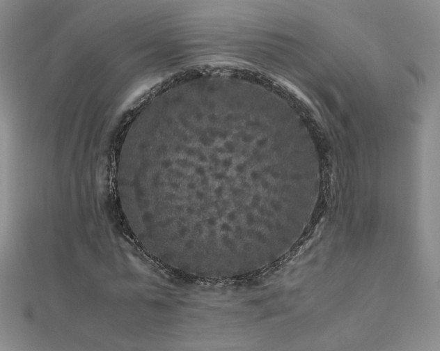 X0000110710775200906121354