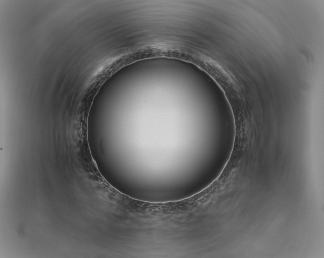 X0000110710776200906121354