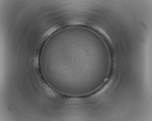 X0000110710777200906121354