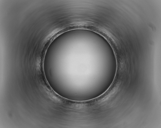 X0000110710778200906121354