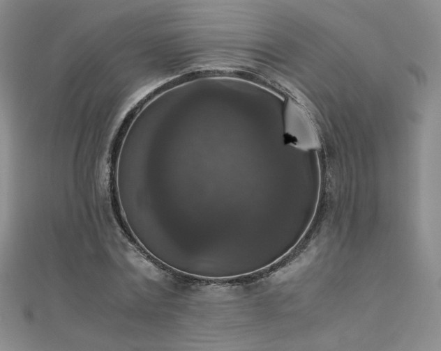 X0000110710779200906121354