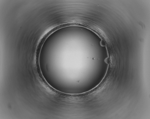 X0000110710780200906121354