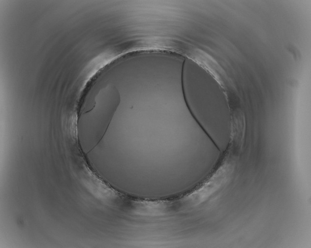X0000110710781200906121354