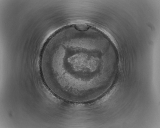 X0000110710783200906121354