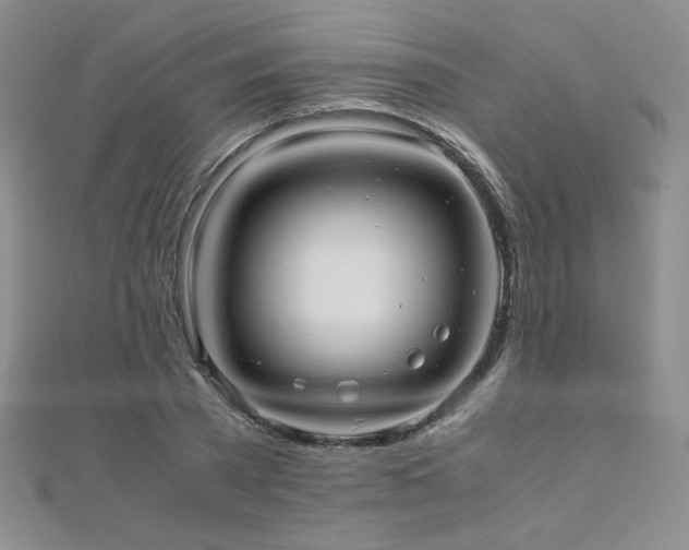 X0000110710785200906121353