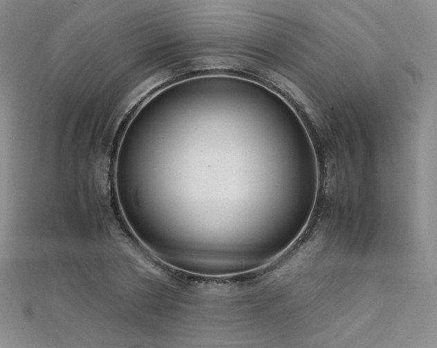 X0000110710786200906121353