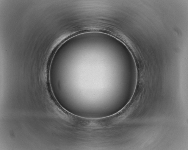 X0000110710787200906121353