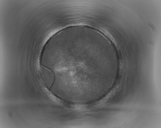 X0000110710789200906121353