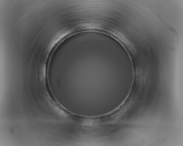 X0000110710790200906121353