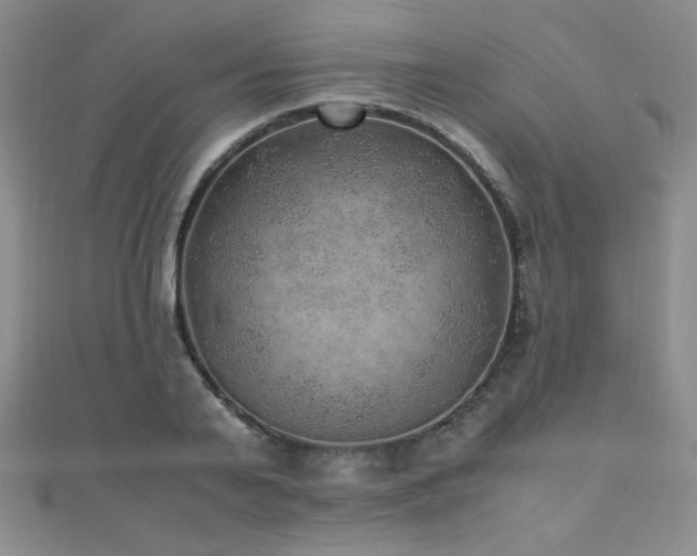 X0000110710791200906121353