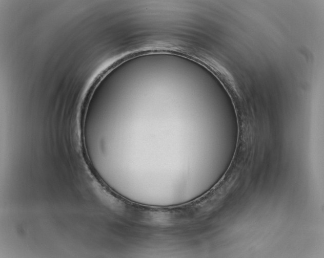 X0000110710792200906121353