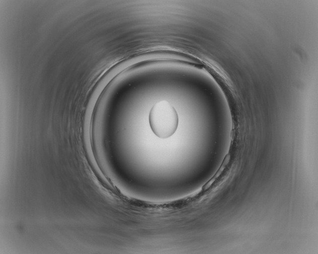 X0000110710793200906121353