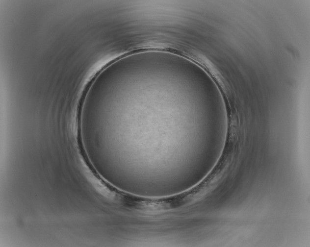 X0000110710795200906121353