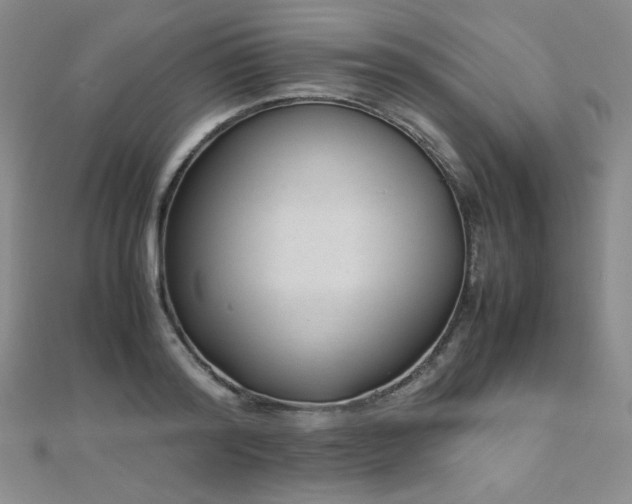 X0000110710796200906121353
