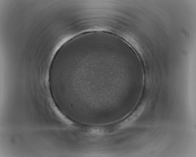 X0000110710797200906121353