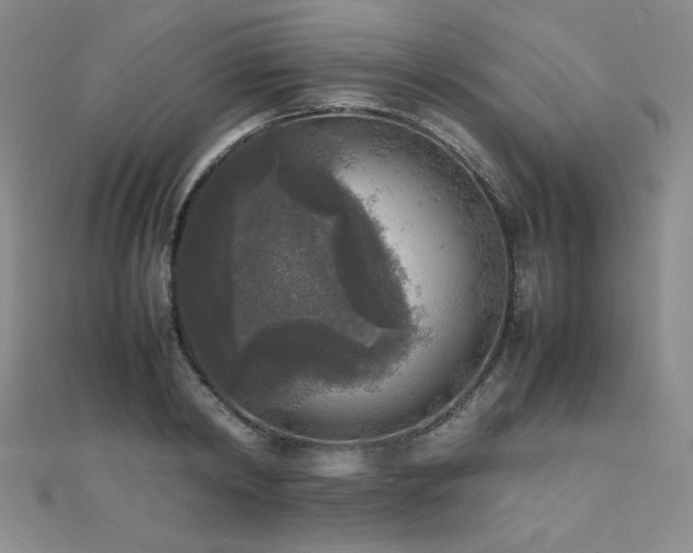 X0000110710798200906121353