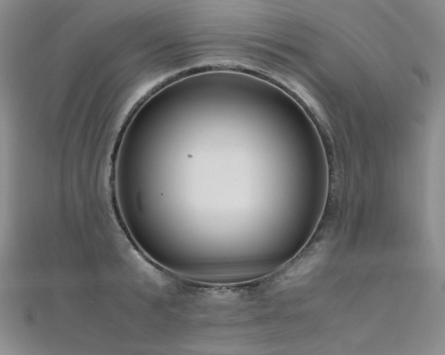 X0000110710799200906121353