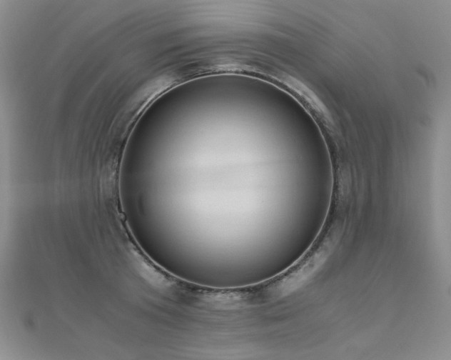 X0000110710801200906121353