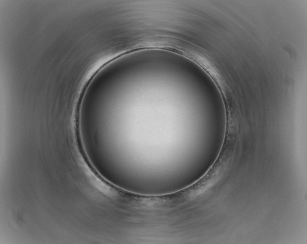 X0000110710803200906121353