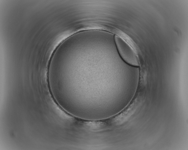 X0000110710805200906121353
