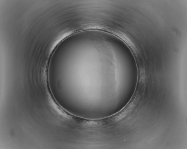 X0000110710806200906121353