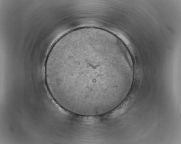 X0000110710807200906121353