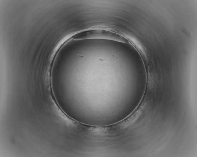 X0000110710808200906121353