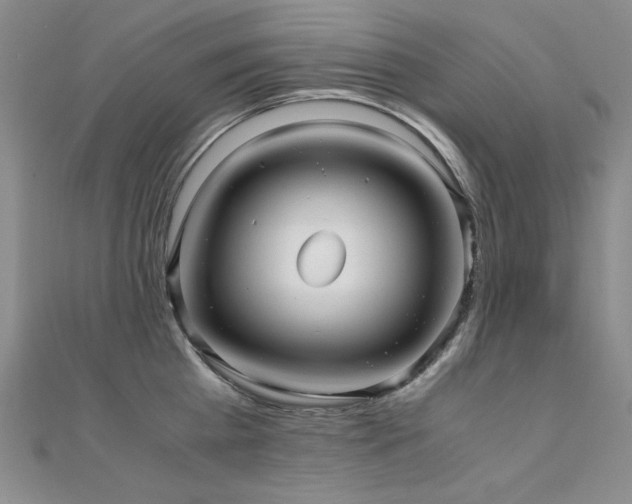 X0000110710809200906121353