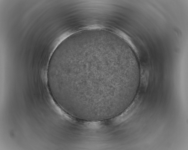 X0000110710810200906121353