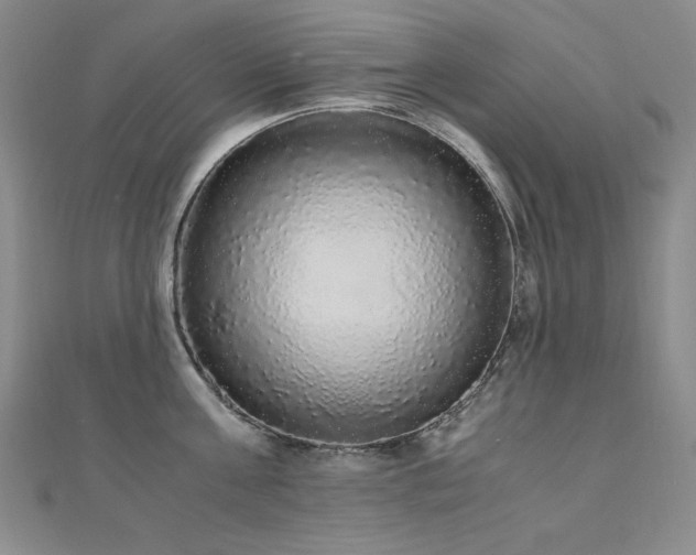 X0000110710811200906121353
