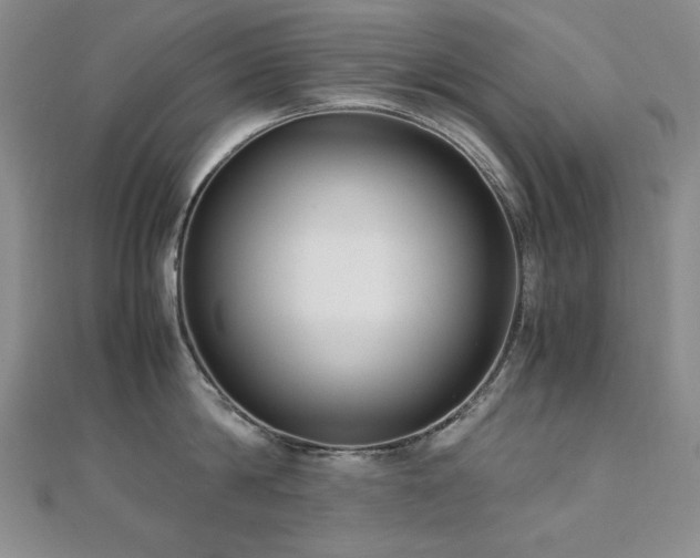 X0000110710814200906121353