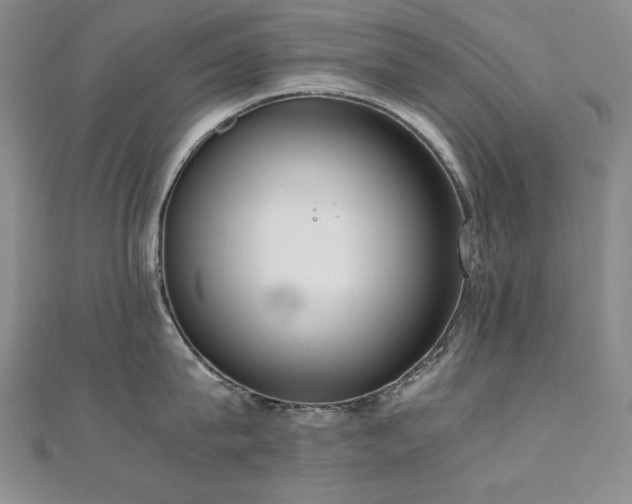 X0000110710815200906121353