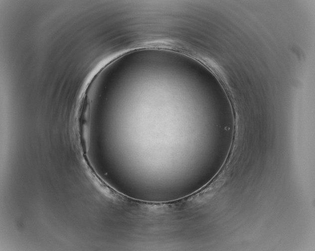 X0000110710816200906121353