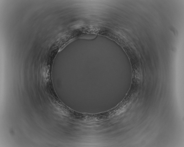 X0000110710818200906121352