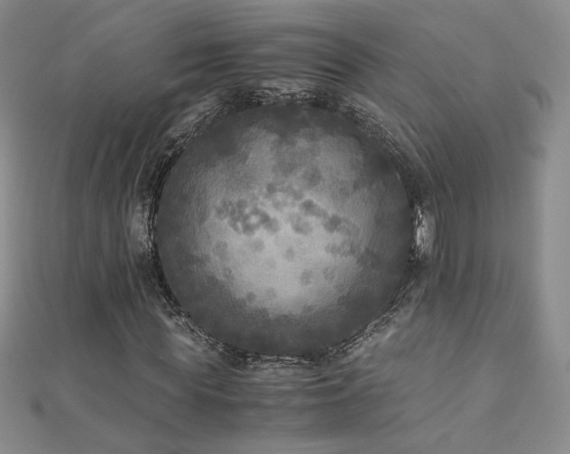 X0000110710819200906121352