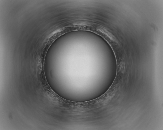 X0000110710821200906121352