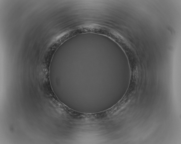 X0000110710822200906121352