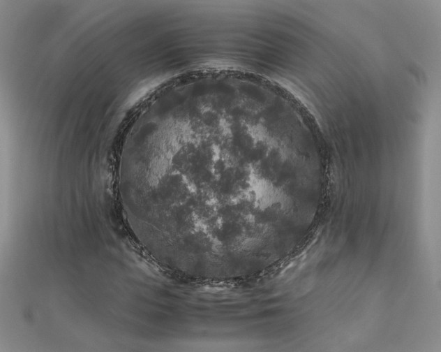 X0000110710823200906121352