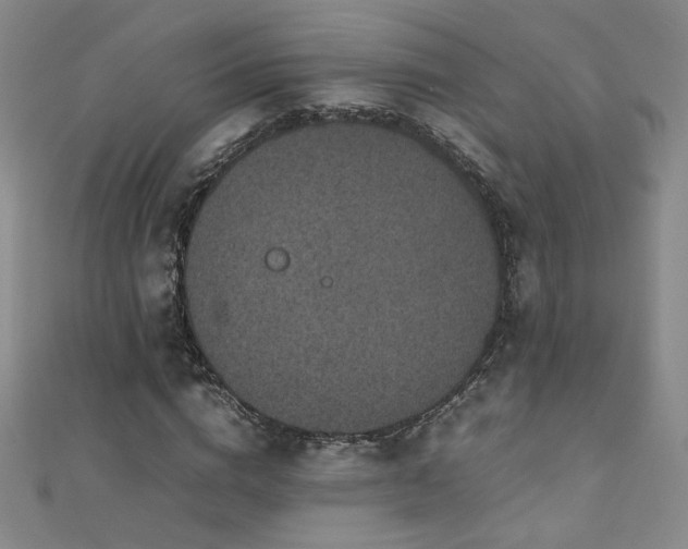 X0000110710824200906121352