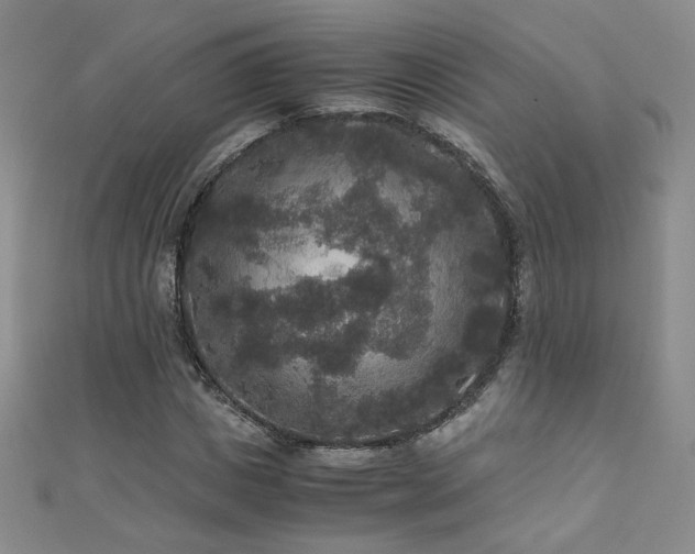 X0000110710825200906121352