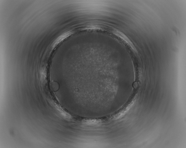 X0000110710826200906121352