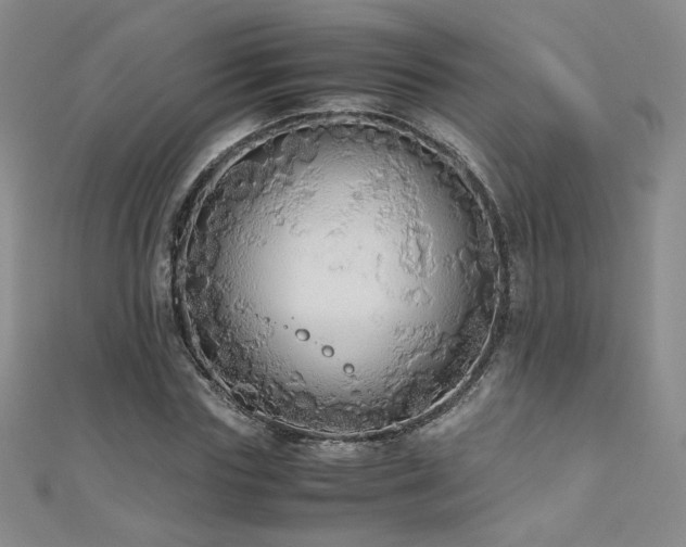 X0000110710827200906121352