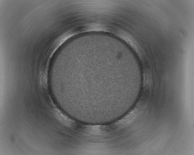 X0000110710828200906121352