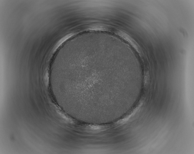 X0000110710829200906121352