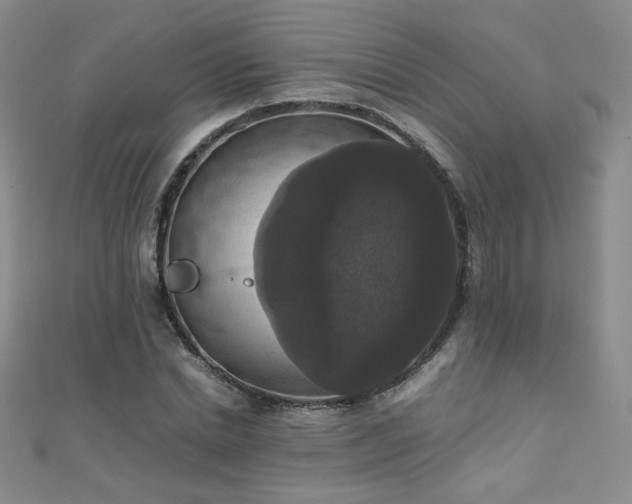 X0000110710830200906121352