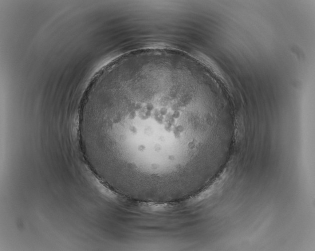X0000110710831200906121352