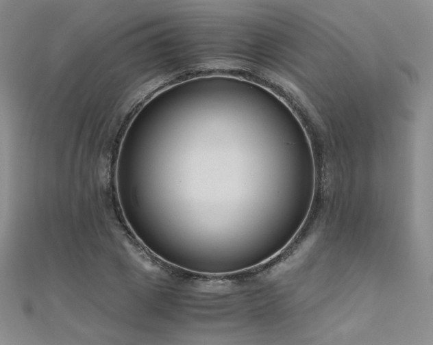 X0000110710833200906121353